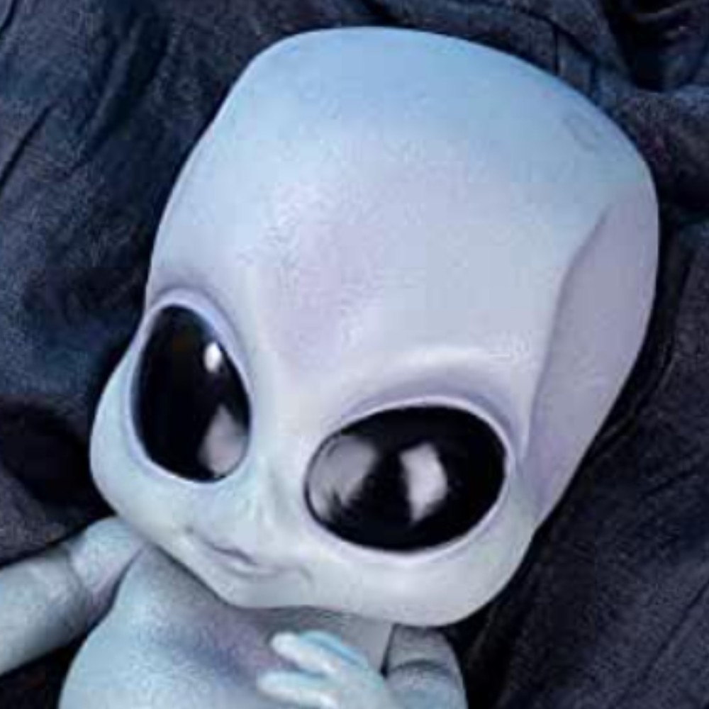 Meet your Posher, Zoey